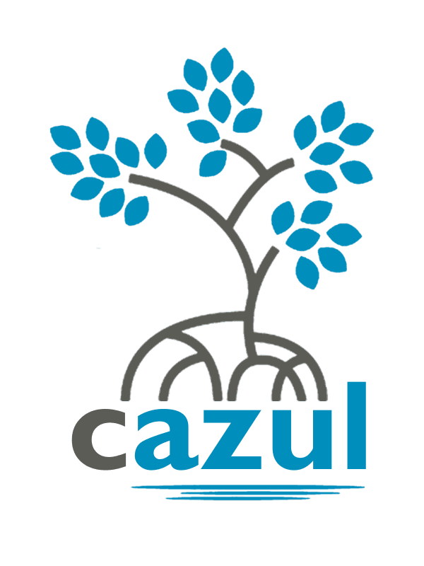 Cazul